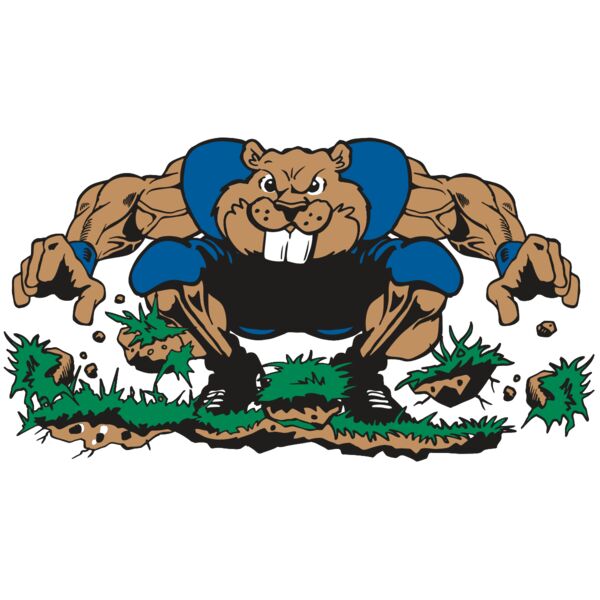 AR14 BEAVER FBLL 04 RQC Thumbnail